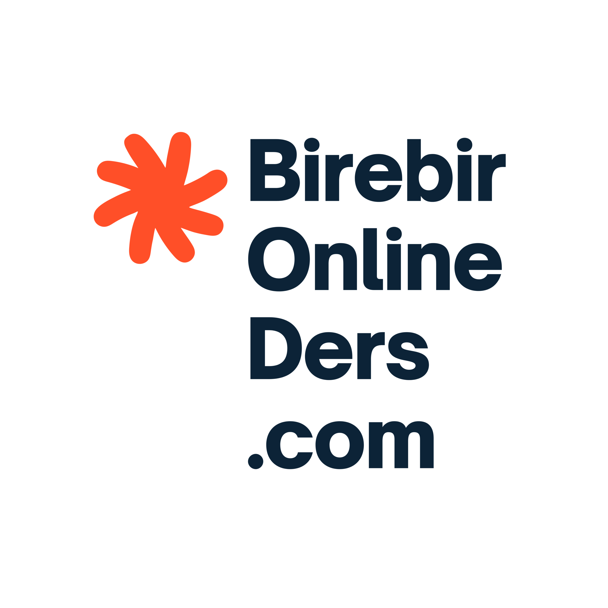 Birebir Online Ders