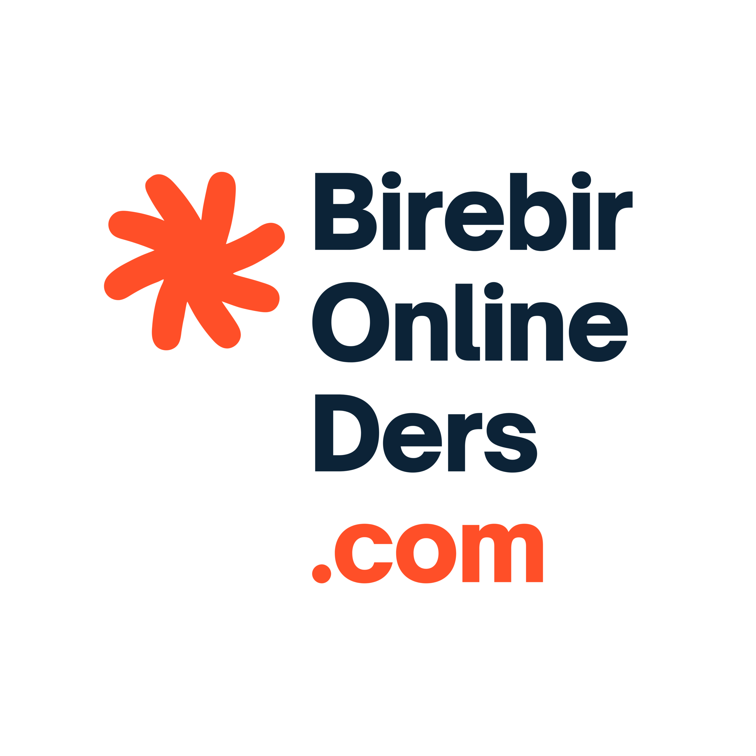 birebir online ders .com logosu